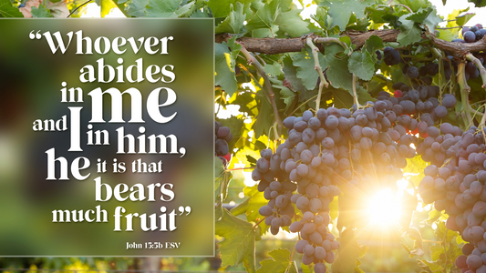 Introducing John 15:5 as This Year’s Banner Verse