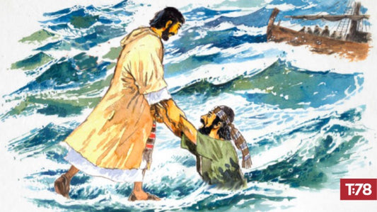 Coming Soon – More Than a Story: New Testament