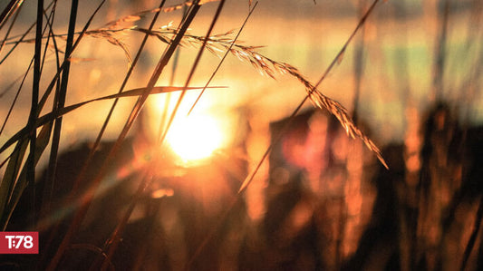 A hopeful and timely message in Habakkuk