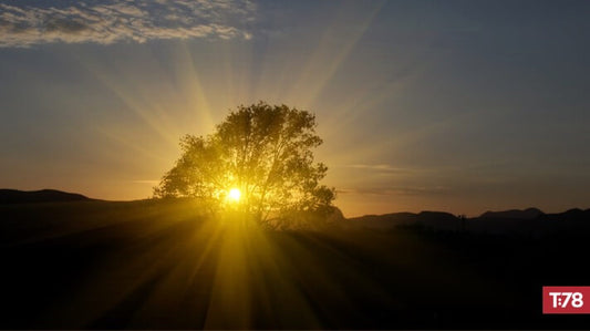 The Importance of Impressing Upon Children a High View of God