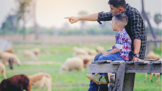 Point Children to God in His Creation this Summer