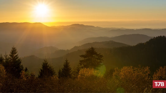 A 2020 Thanksgiving Day Prayer
