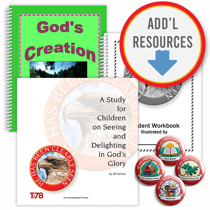 He Has Been Clearly Seen: Classroom Kit