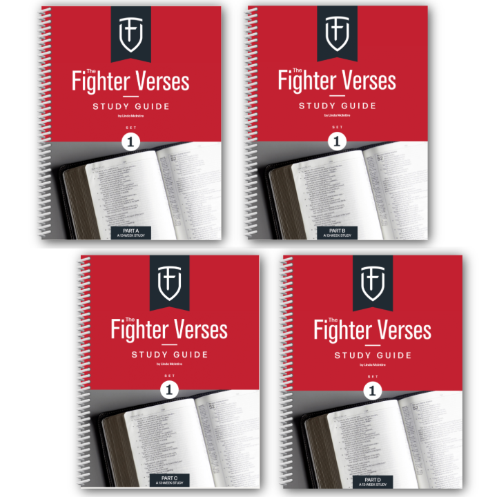 The Fighter Verses Study Guide: Set 1