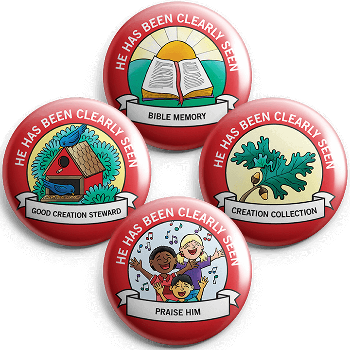 He Has Been Clearly Seen: Student Buttons (5 sets)