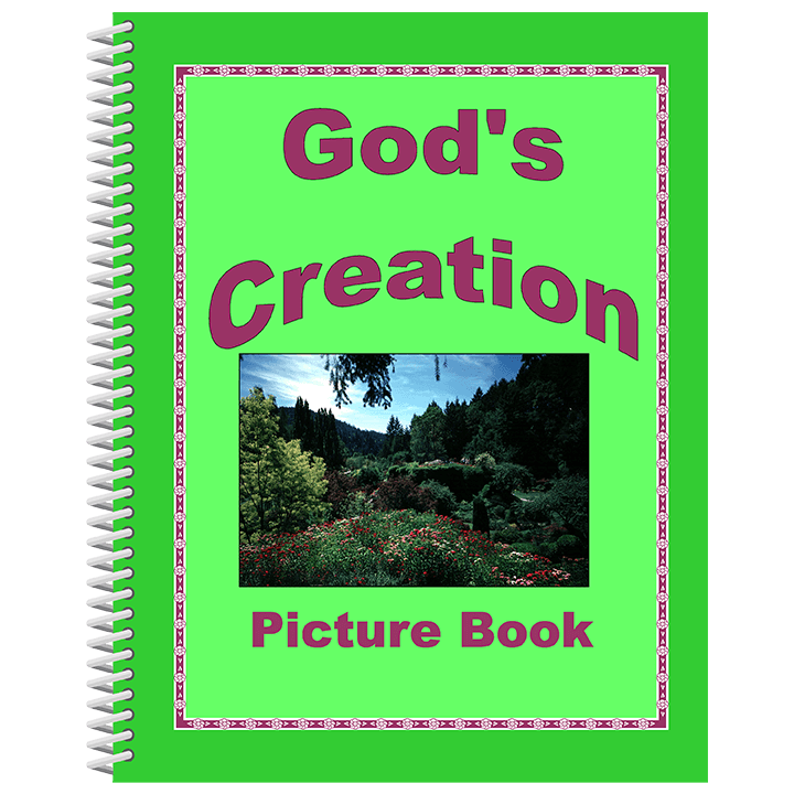 He Has Been Clearly Seen: Additional Color Visuals Book