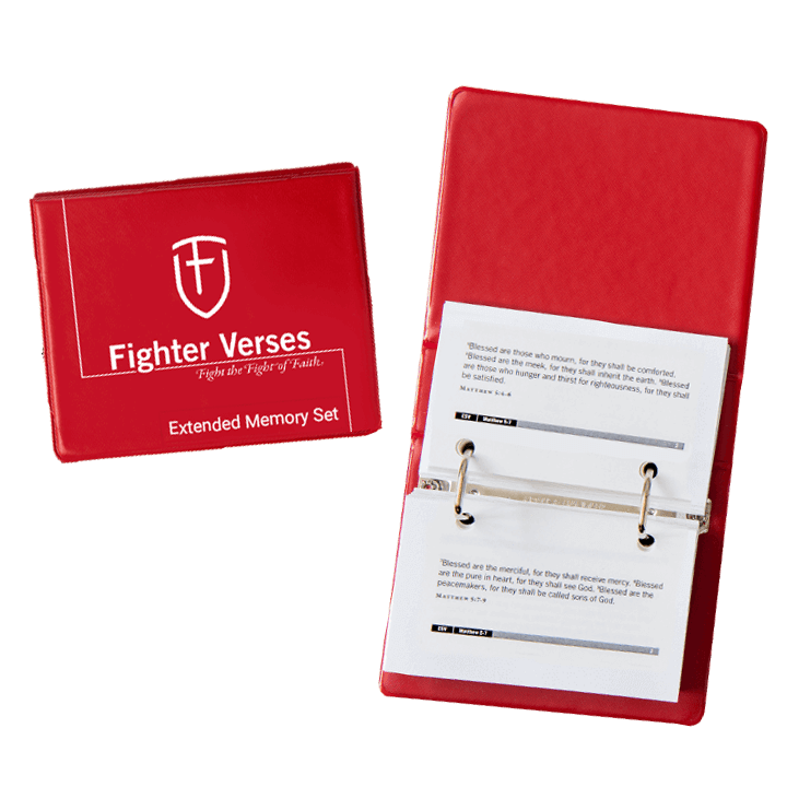 DISCONTINUED Fighter Verses Extended Memory Pack