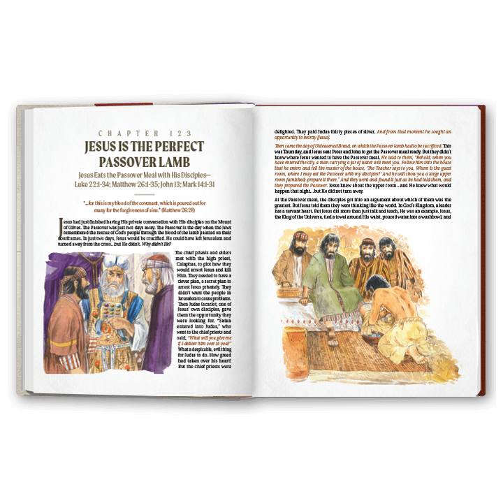 More Than a Story: New Testament