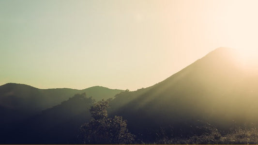 24 Truths to Teach Children About God's Providence