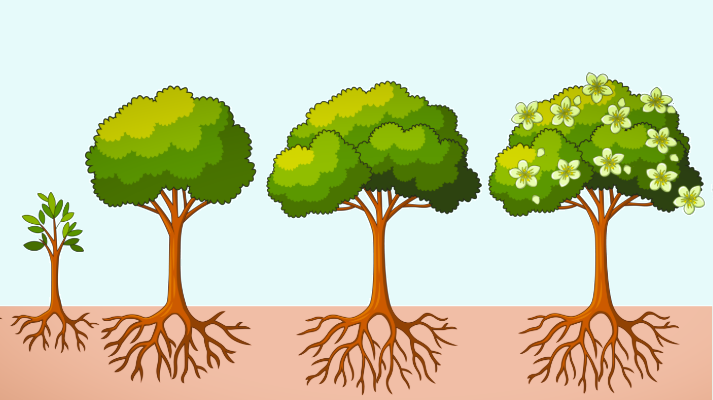 Family Discipleship by Life Stage: Faithful Steps from Birth to Adulthood