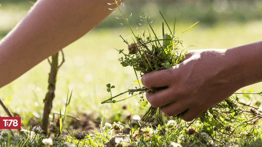 ¿Un año de malezas o de Dar frutos? Una invitación a seguir con diligencia el discipulado de los niños este año.