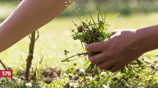 A Year of Weeds or Fruitfulness? An Invitation to Diligently Pursue Children’s Discipleship this Year
