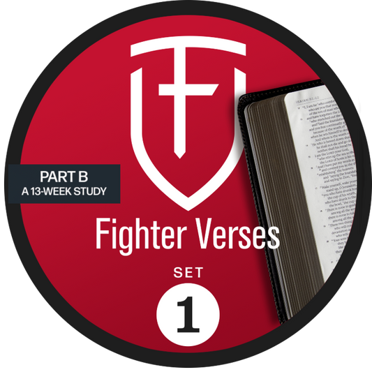 The Fighter Verses Study - Set 1, Part B: Yearly Access