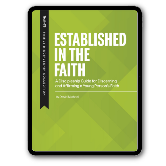 Established in the Faith - eBook