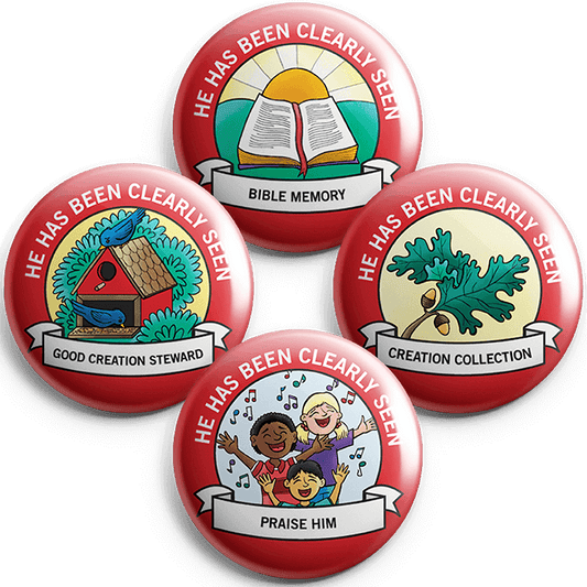 He Has Been Clearly Seen: Student Buttons (5 sets)