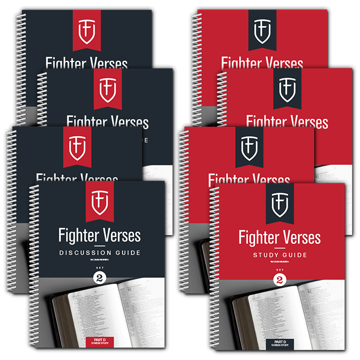 The Fighter Verses Study Guide: Set 2