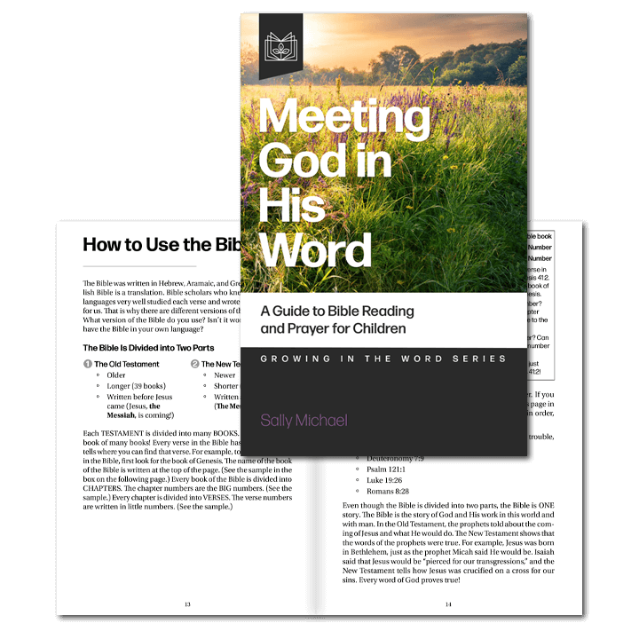 Meeting God in His Word