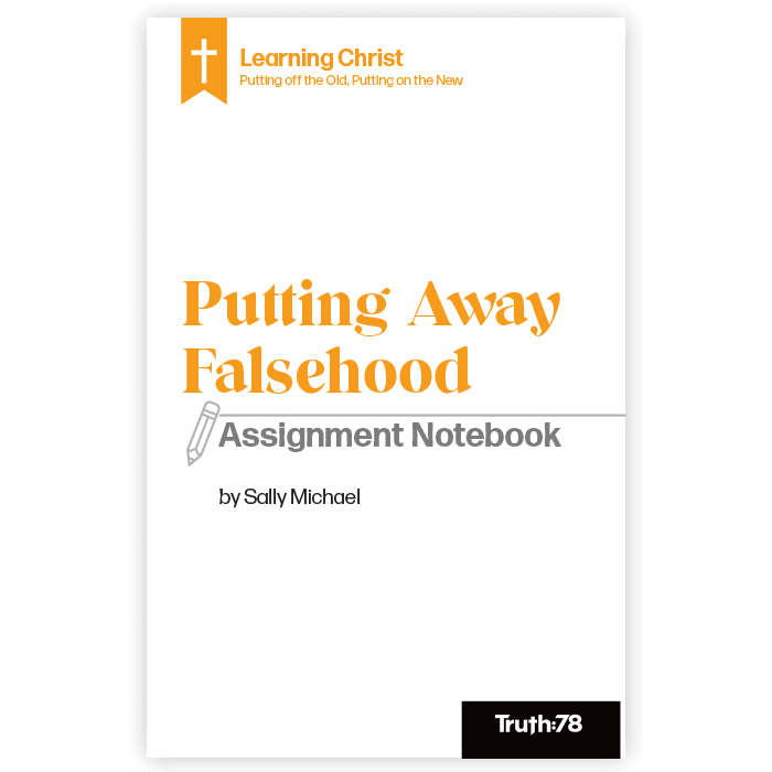 Putting Away Falsehood: Assignment Notebook