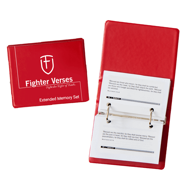 Fighter Verses Extended Memory Pack