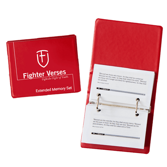 Fighter Verses Extended Memory Pack